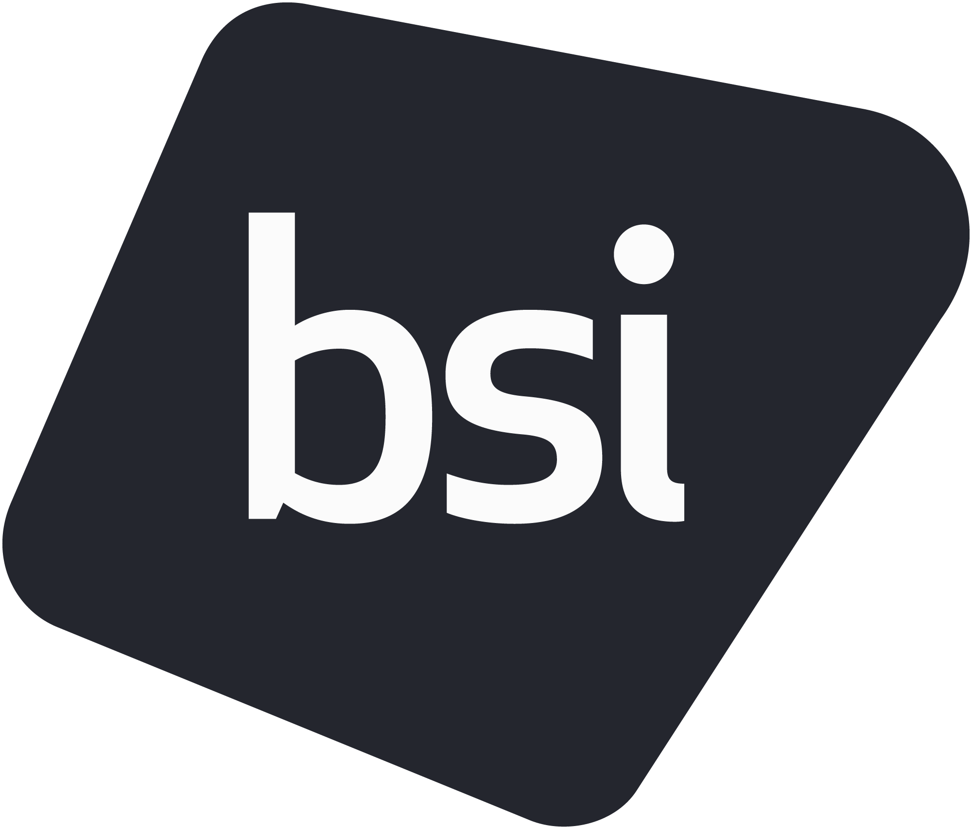 BSI Consulting Services logo